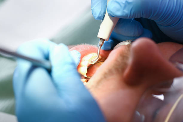 Best Emergency Pediatric Dental Care in Williamson, WV